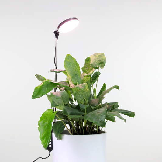 28" Adjustable LED Plant Light